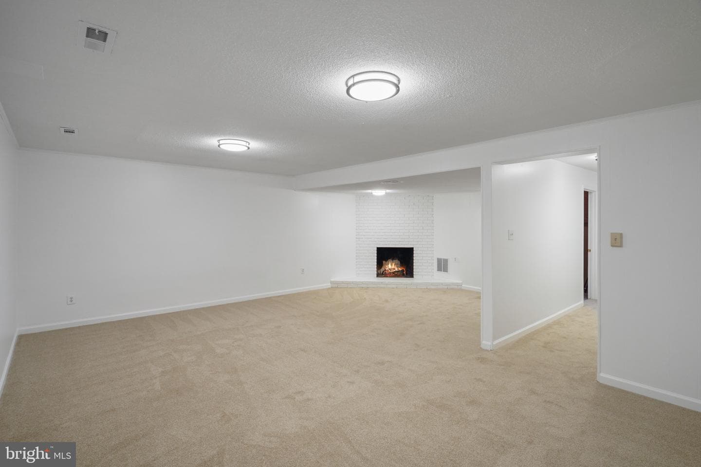 7374 Montcalm Drive photo 28