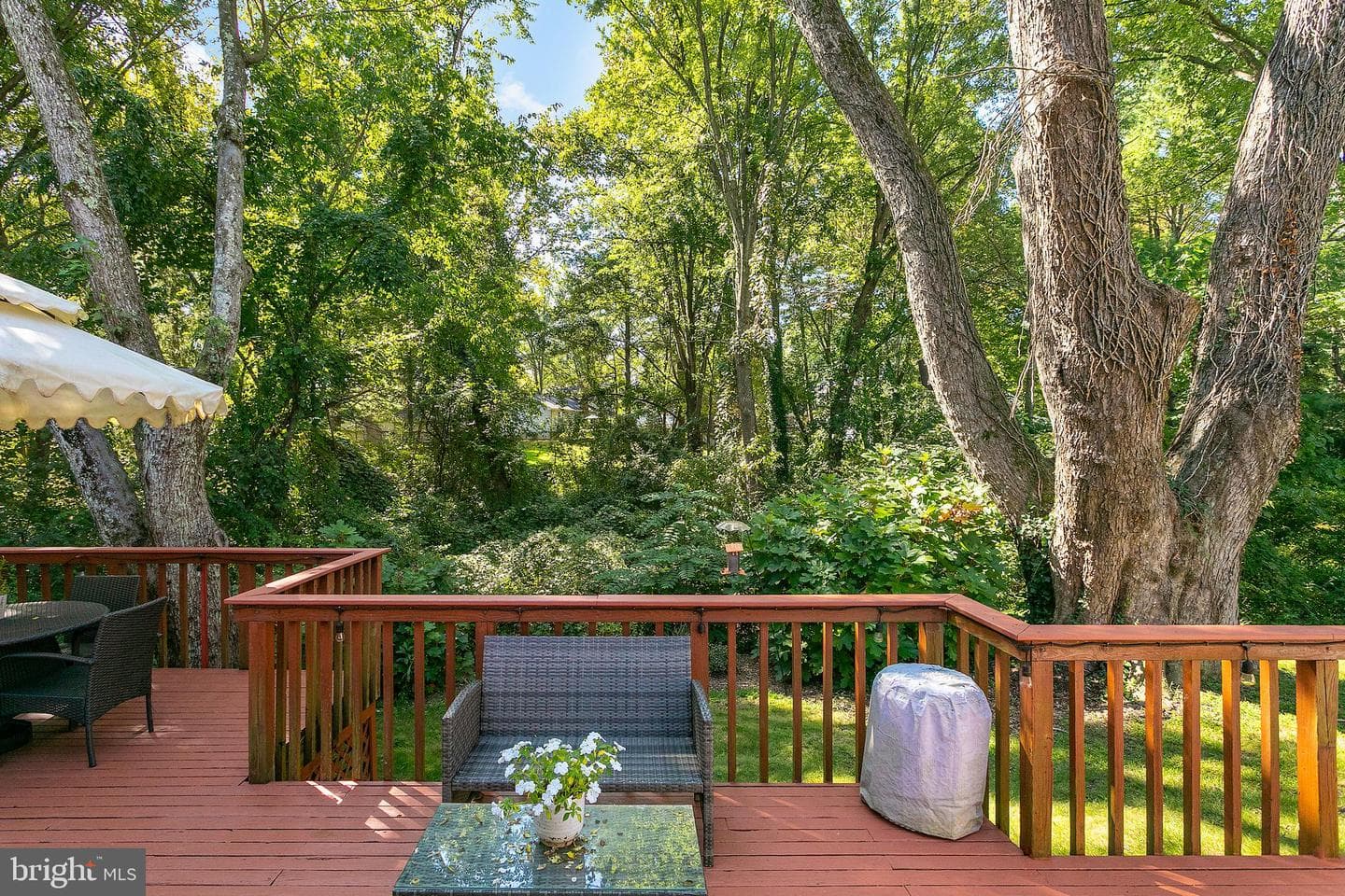6111 Wilmington Drive photo 22