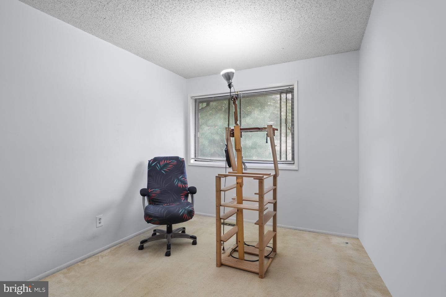 2266 White Cornus Lane photo 17