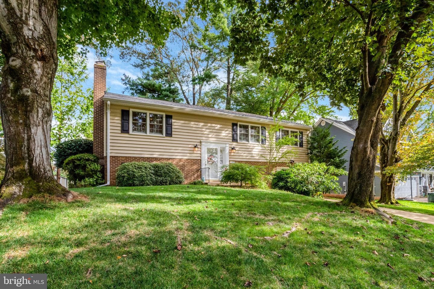 2503 Bright Wood Drive photo 1