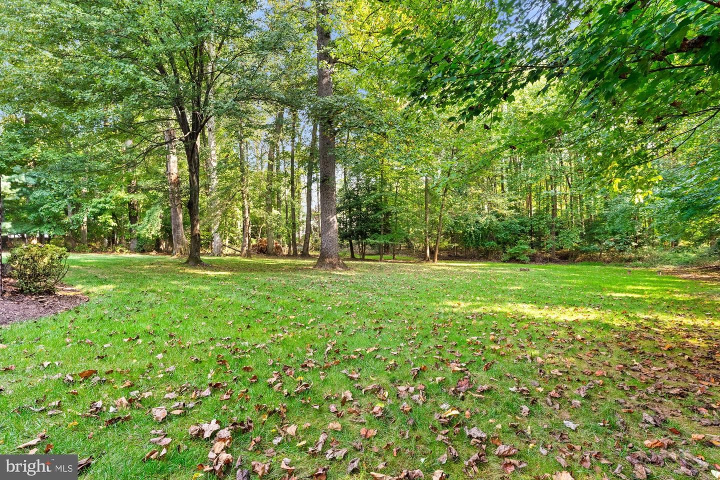 3300 Lauren Oaks Court photo 126