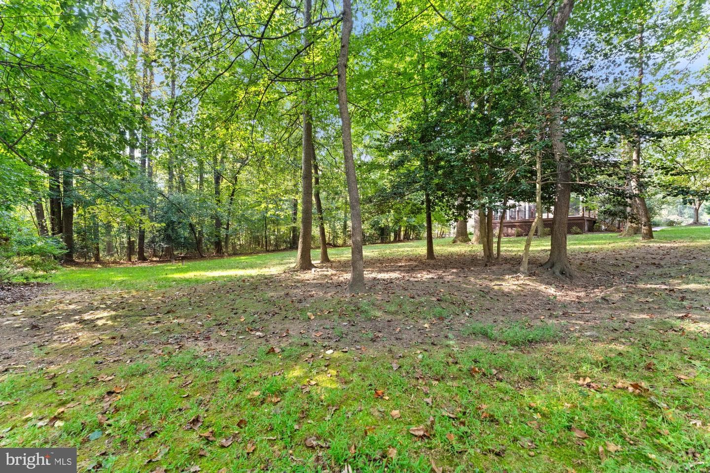 3300 Lauren Oaks Court photo 128