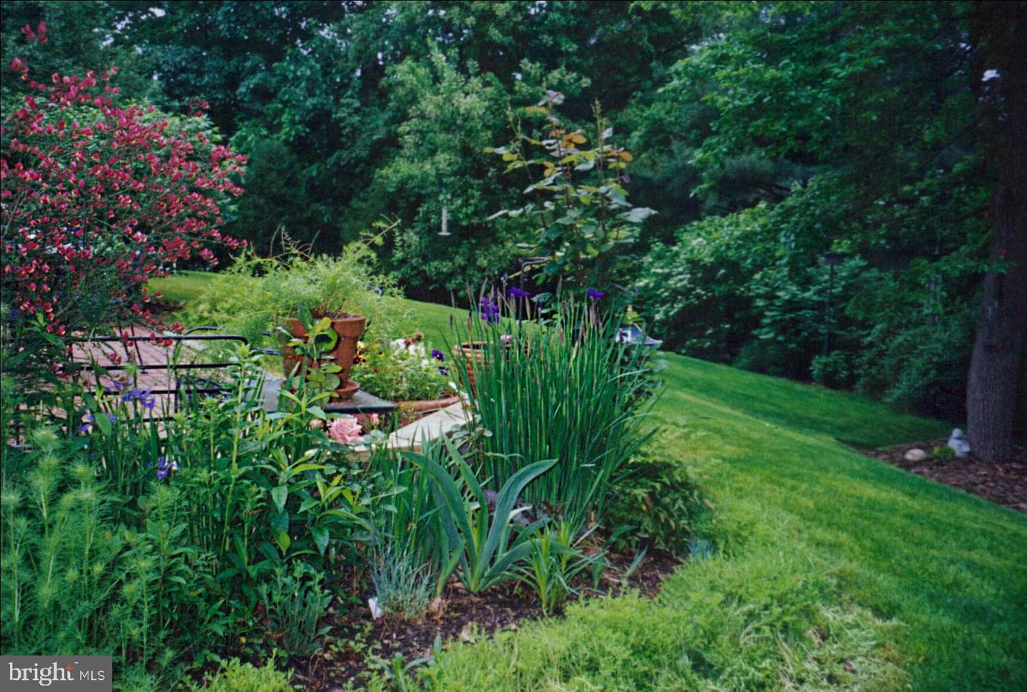 9101 Rural Plains Place photo 61