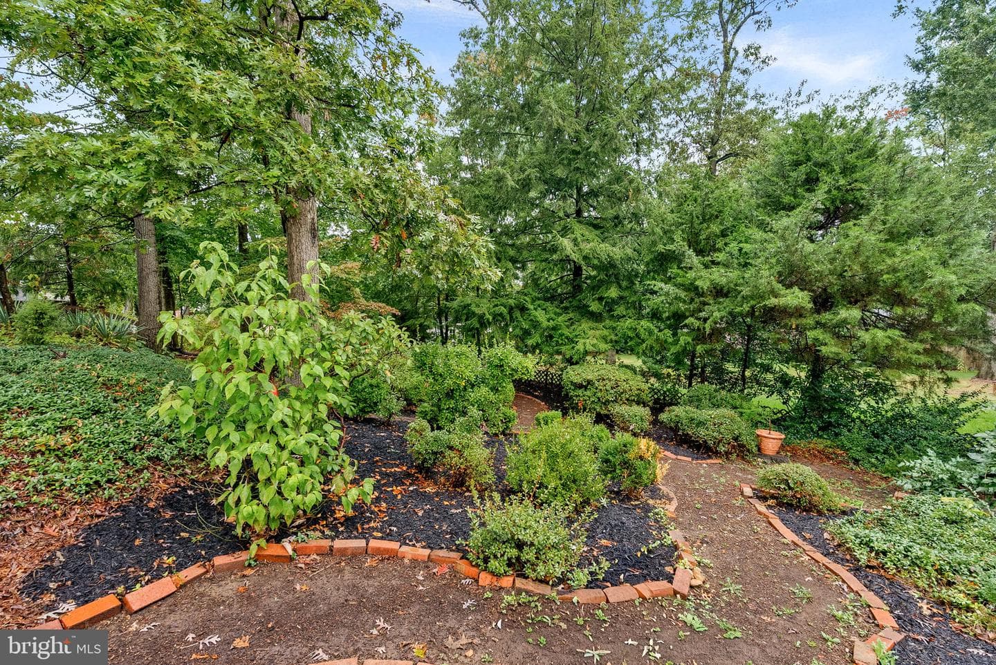 5924 Jane Way photo 62