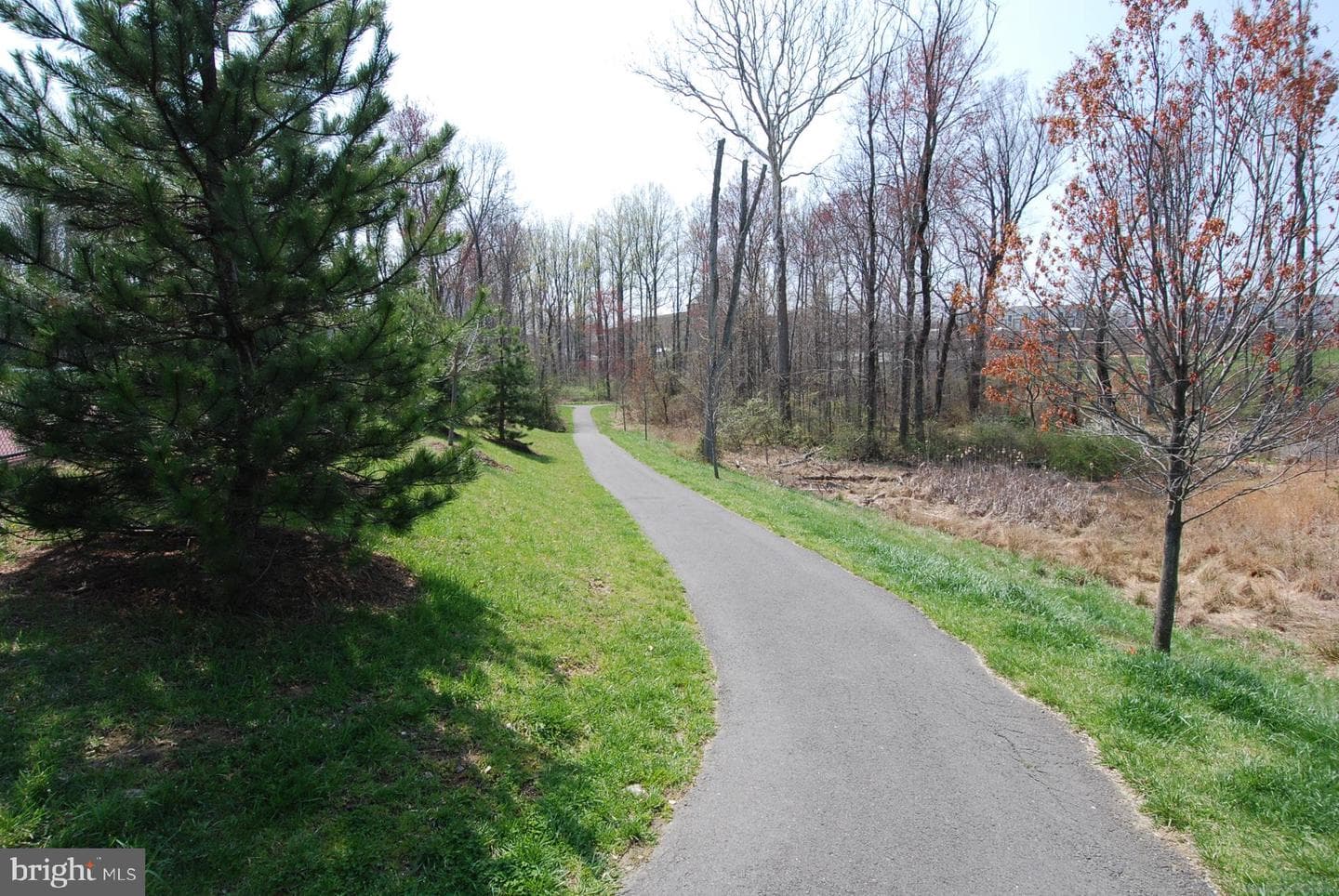 4131 Fountainside Lane #j204 photo 31