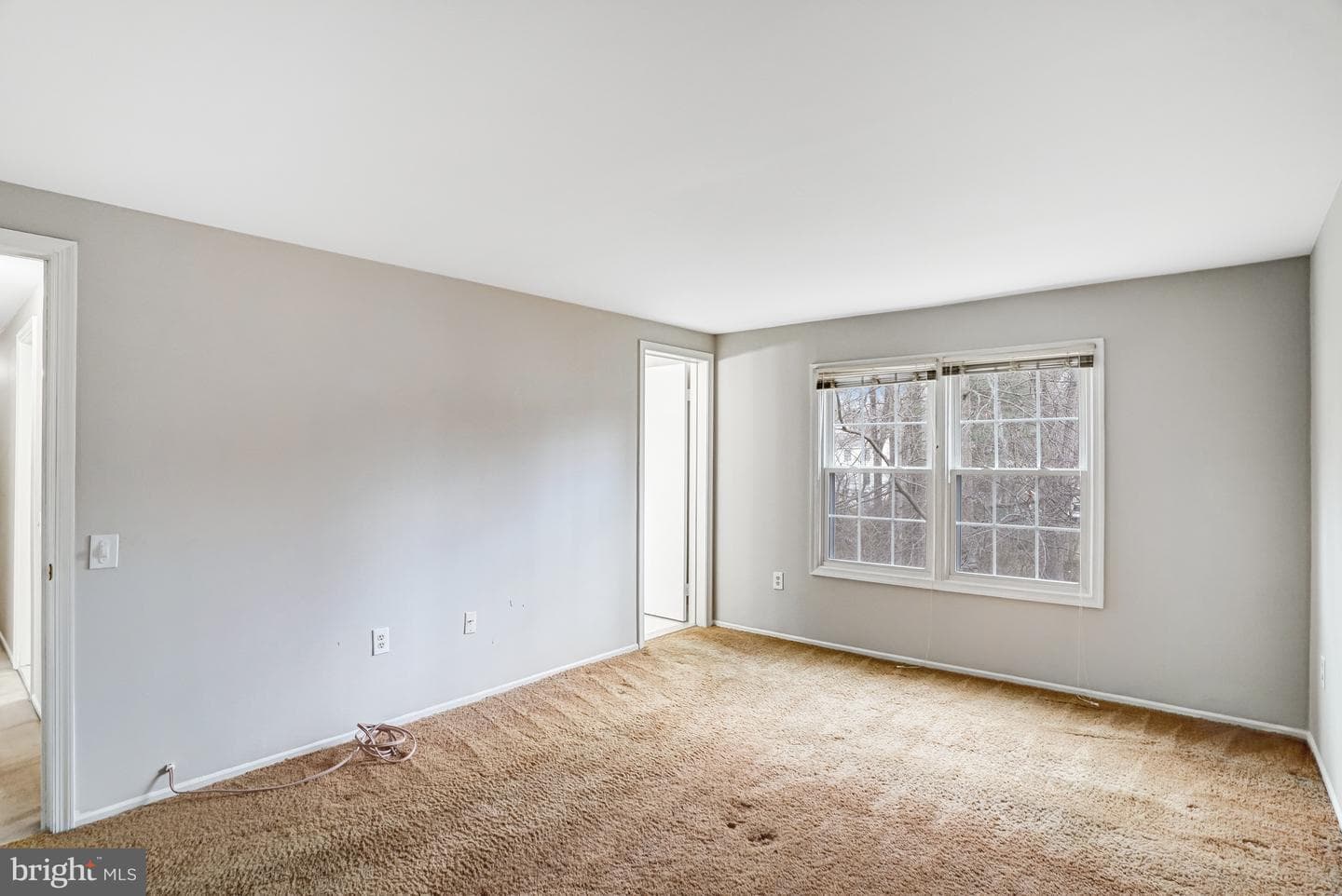 10848 Burr Oak Way photo 36