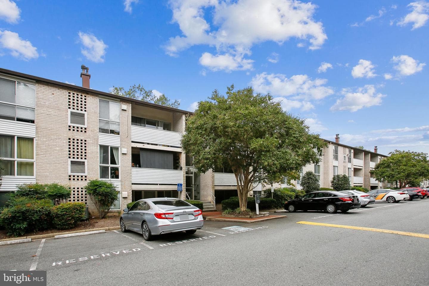 5608 Bloomfield Drive #204 photo 2