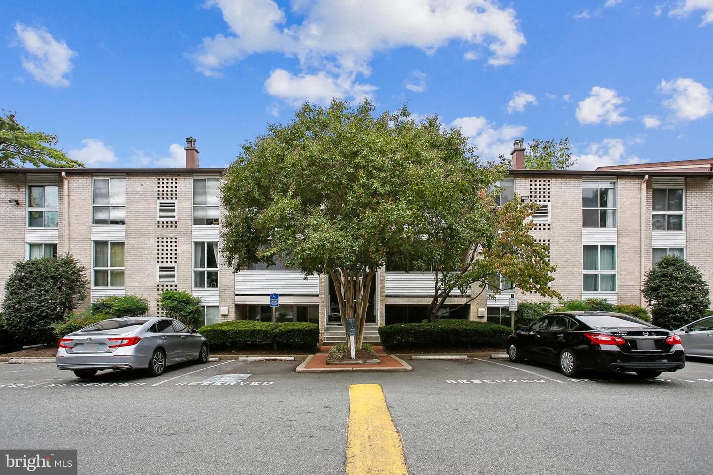 5608 Bloomfield Drive #204 photo 3