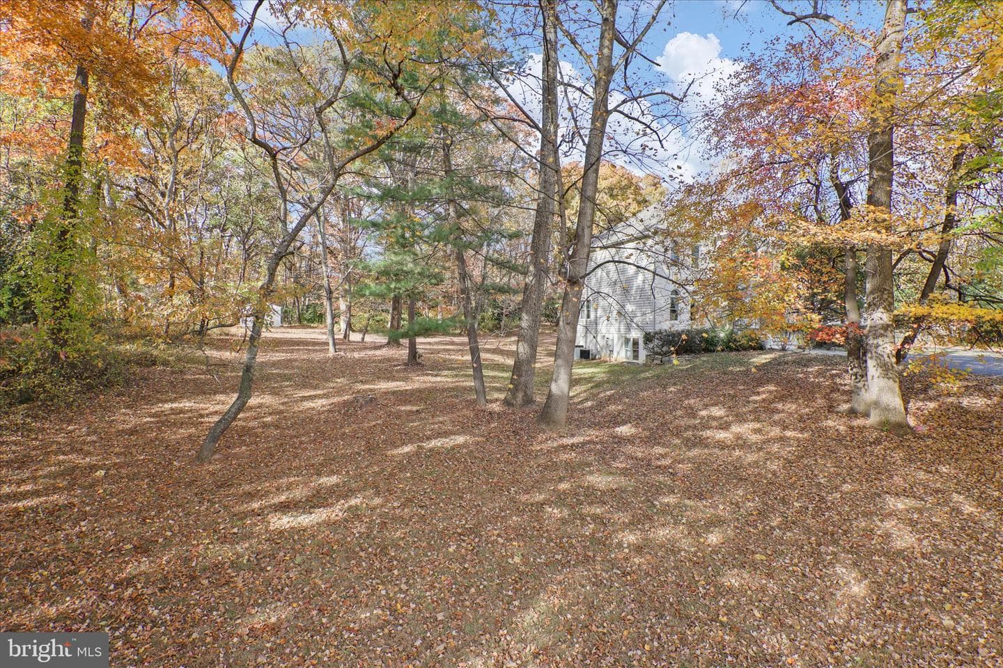 10900 Sunset Hills Road photo 9