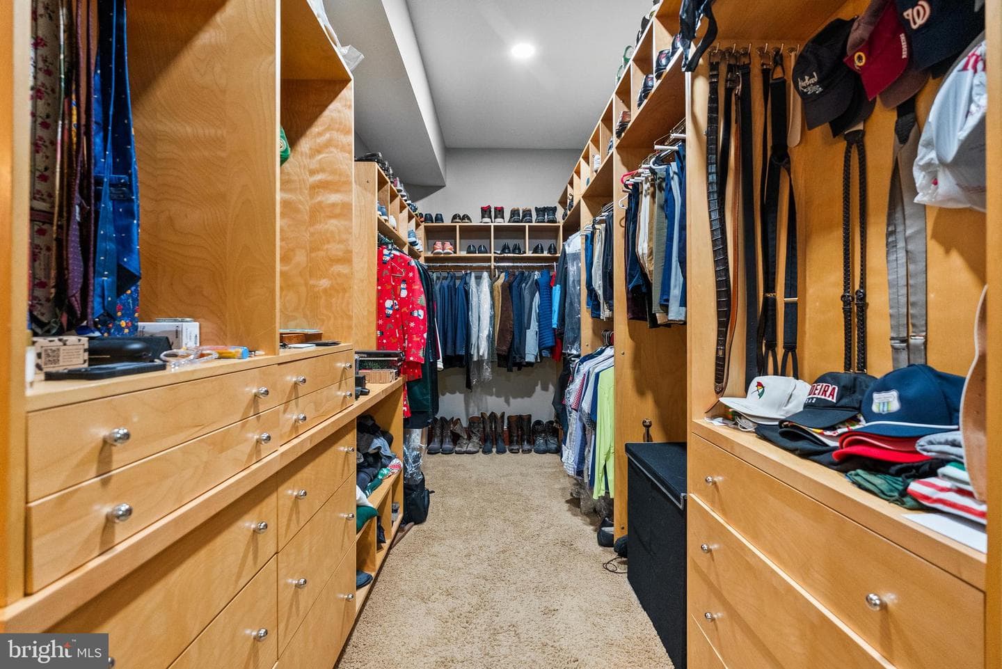 536 Springvale Road photo 56