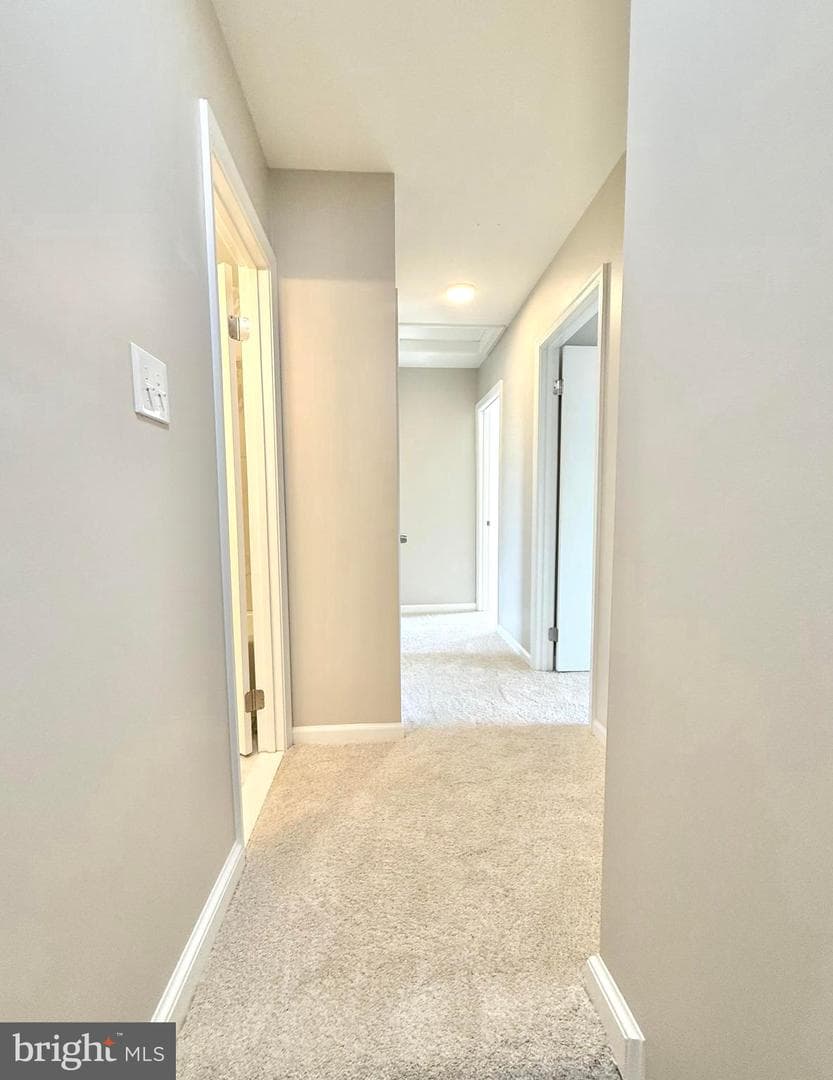2960 Hibbard Street photo 22