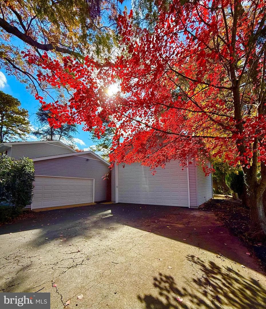 2960 Hibbard Street photo 41