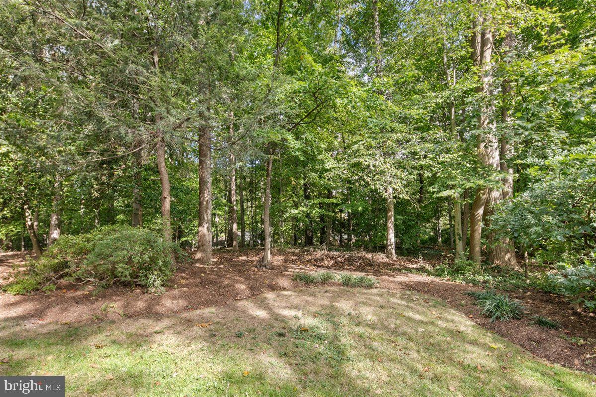 5025 Kingston Drive photo 55
