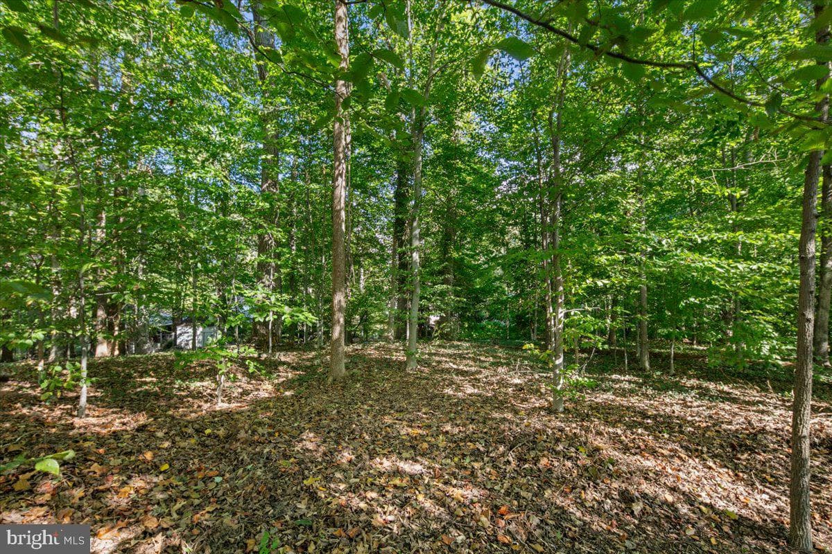 5025 Kingston Drive photo 59
