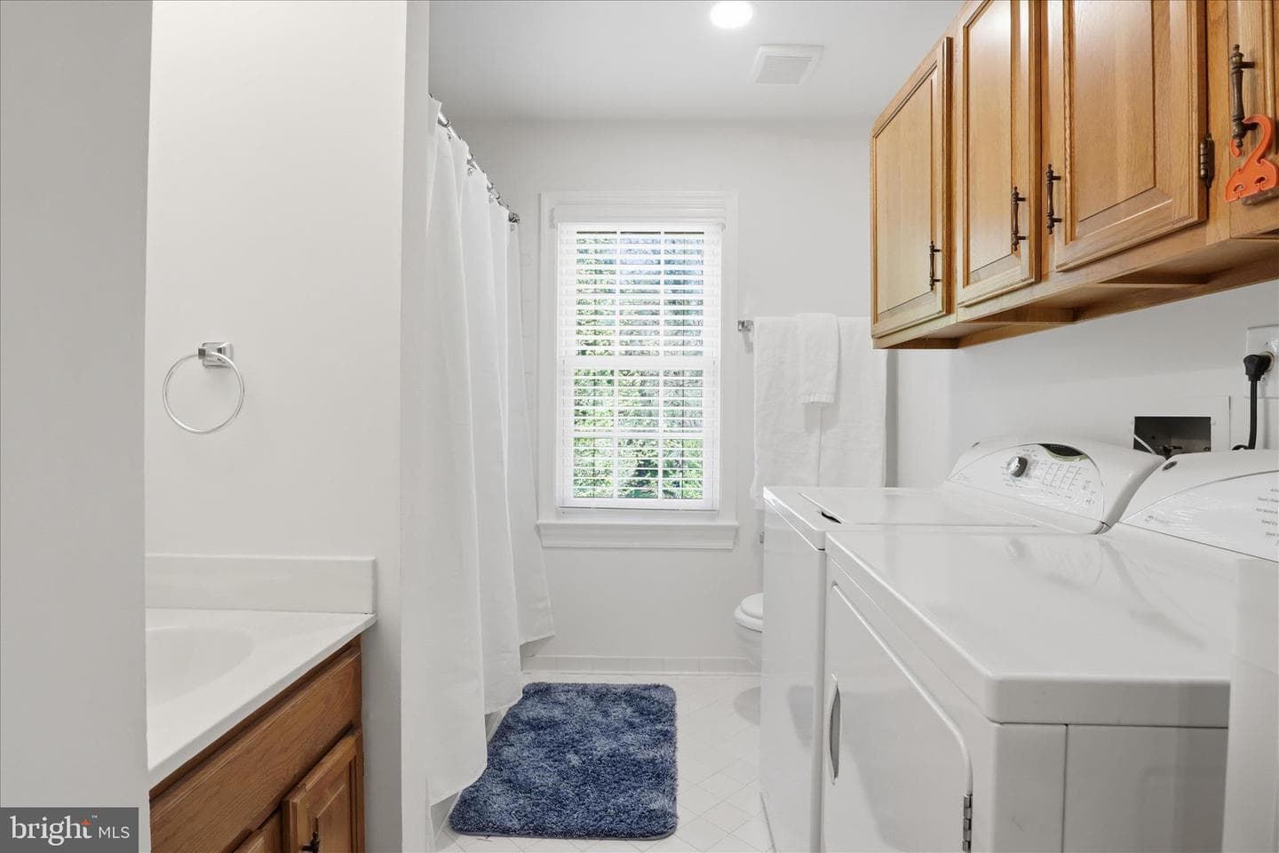 10101 Mill Wheel Lane photo 30
