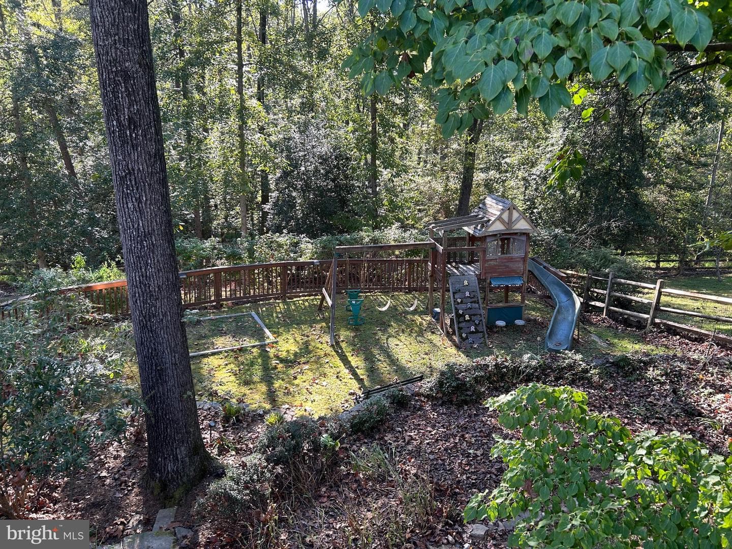 1332 Colvin Forest Drive photo 3