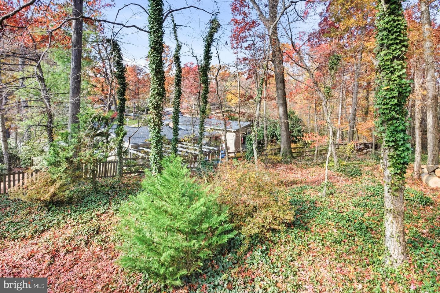 4024 Iva Lane photo 53