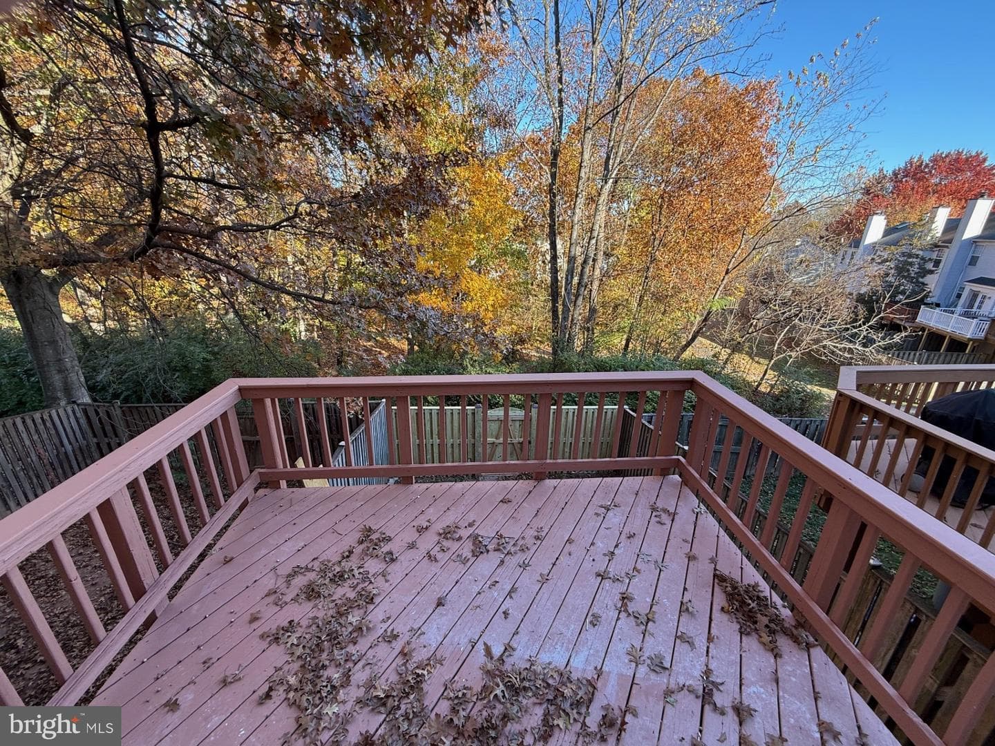 13906 Big Yankee Lane photo 11