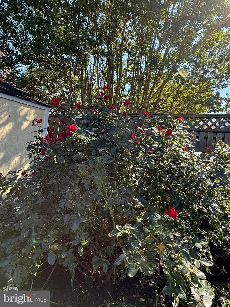 4133 Point Hollow Lane photo 36
