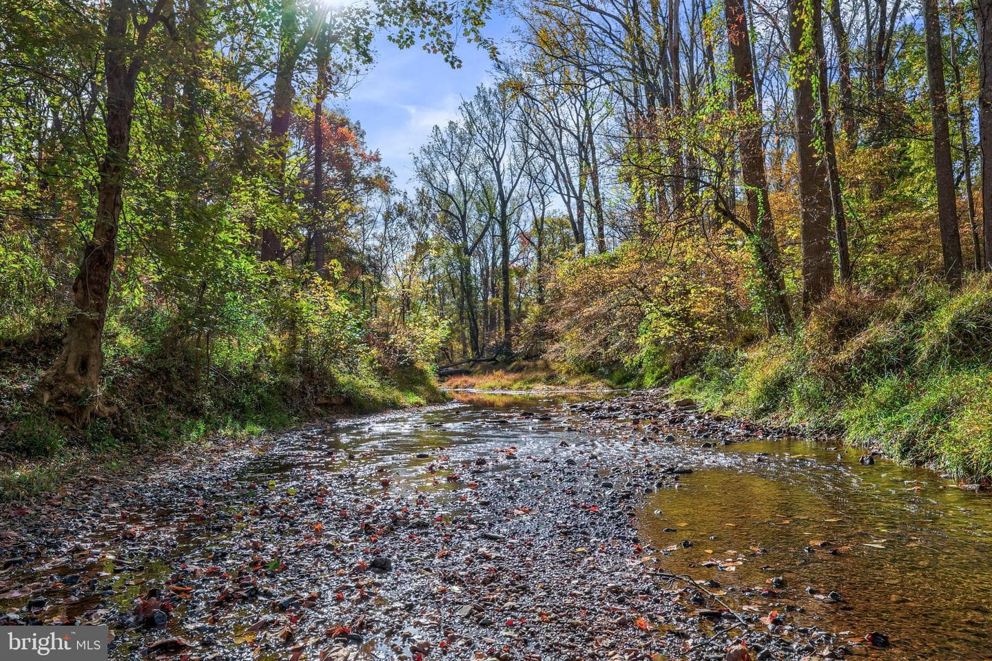 10450 Hunter View Road photo 58