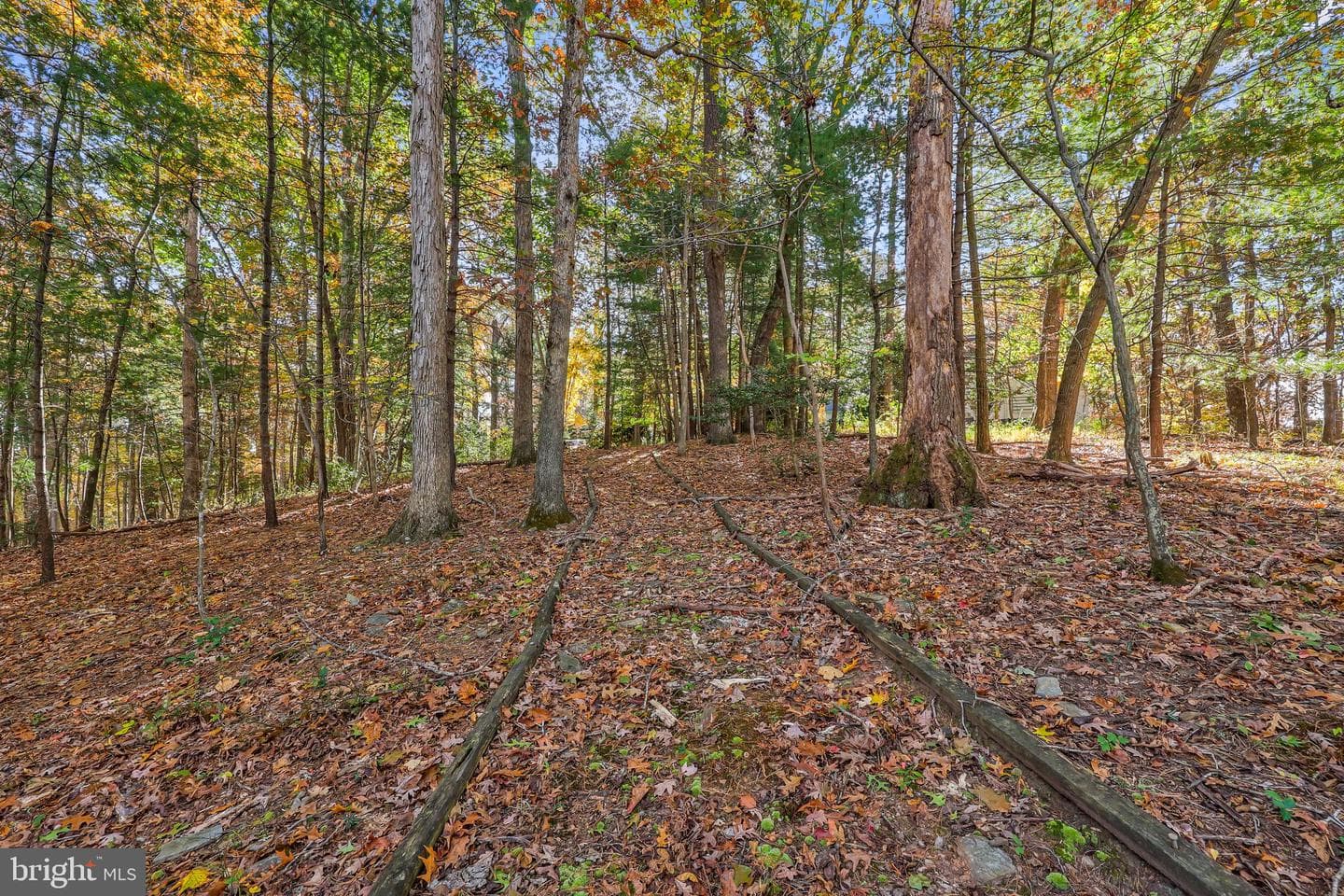 10450 Hunter View Road photo 61