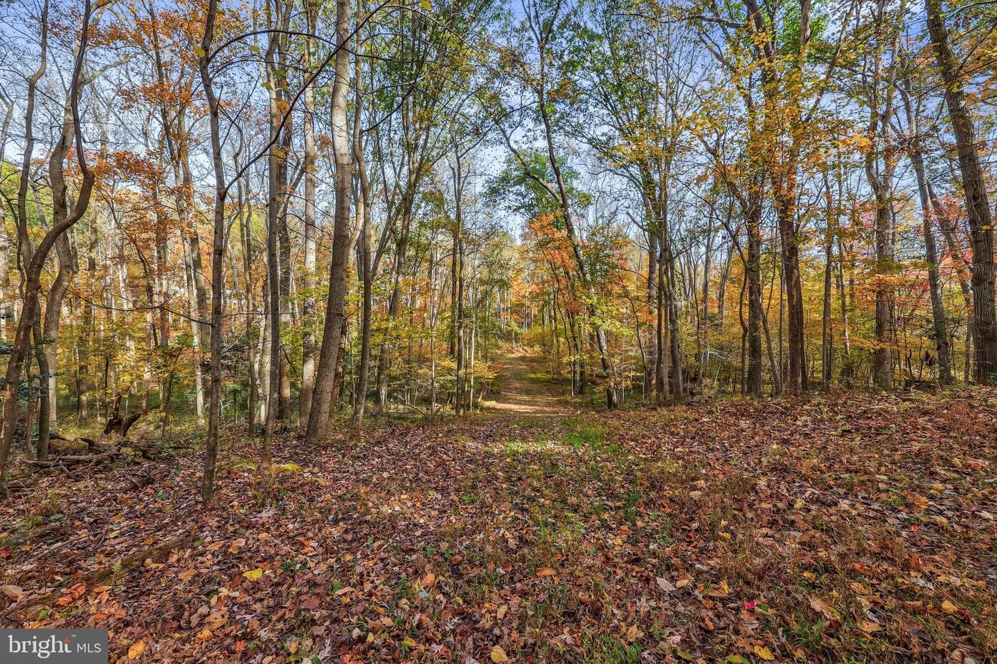 10450 Hunter View Road photo 63