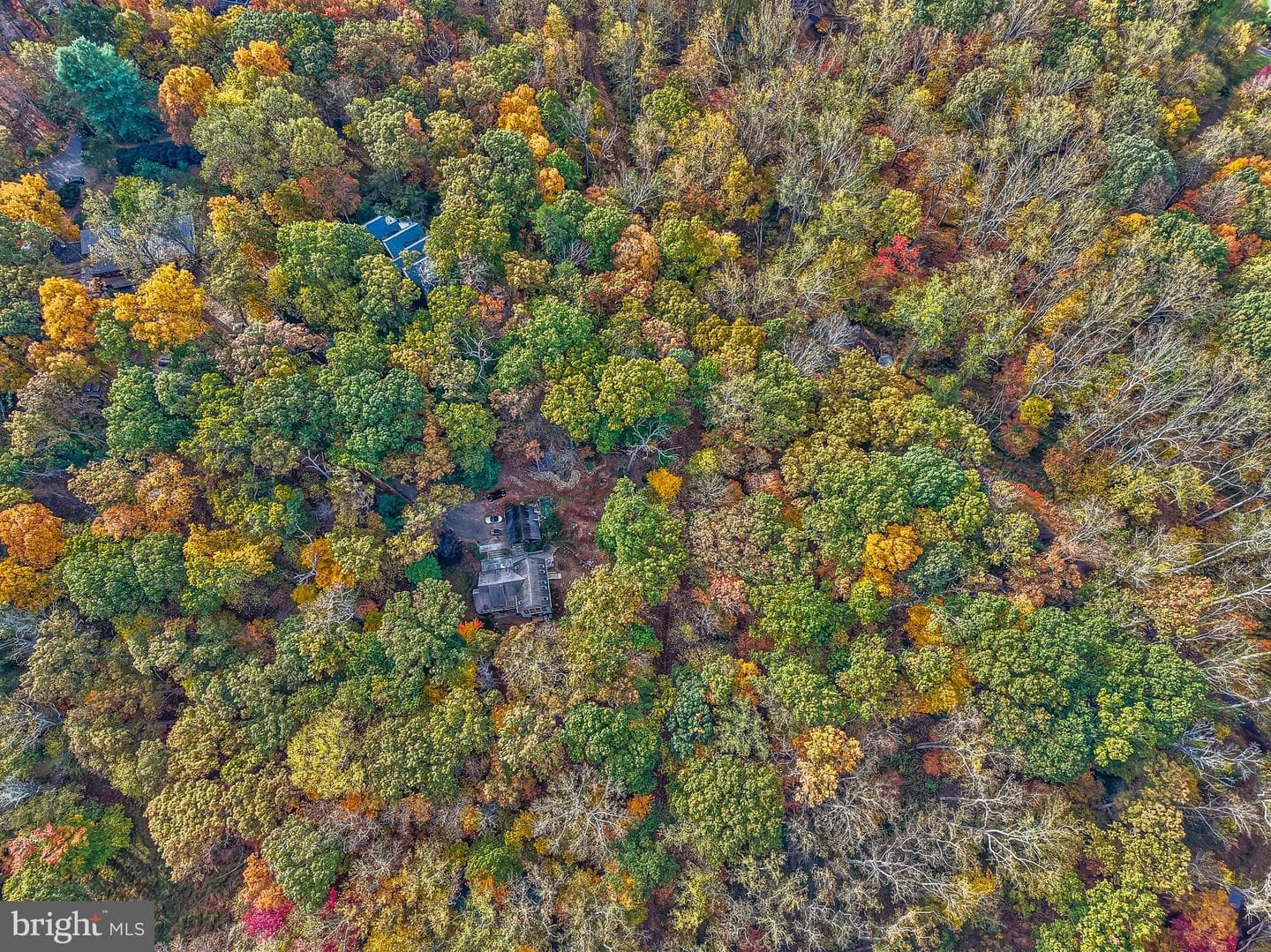 10450 Hunter View Road photo 64