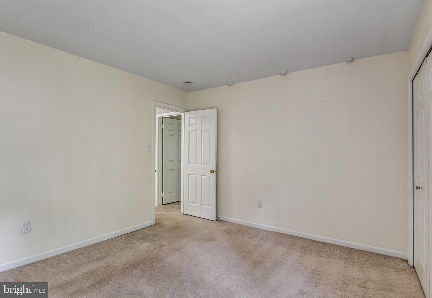 12210 Rowan Tree Drive photo 30
