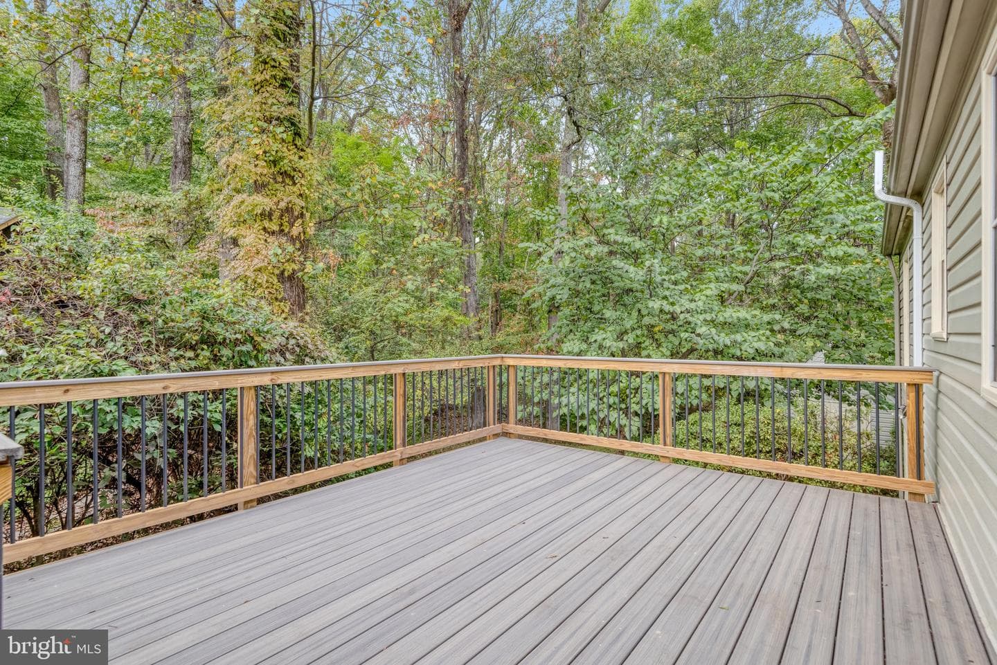 12210 Rowan Tree Drive photo 51