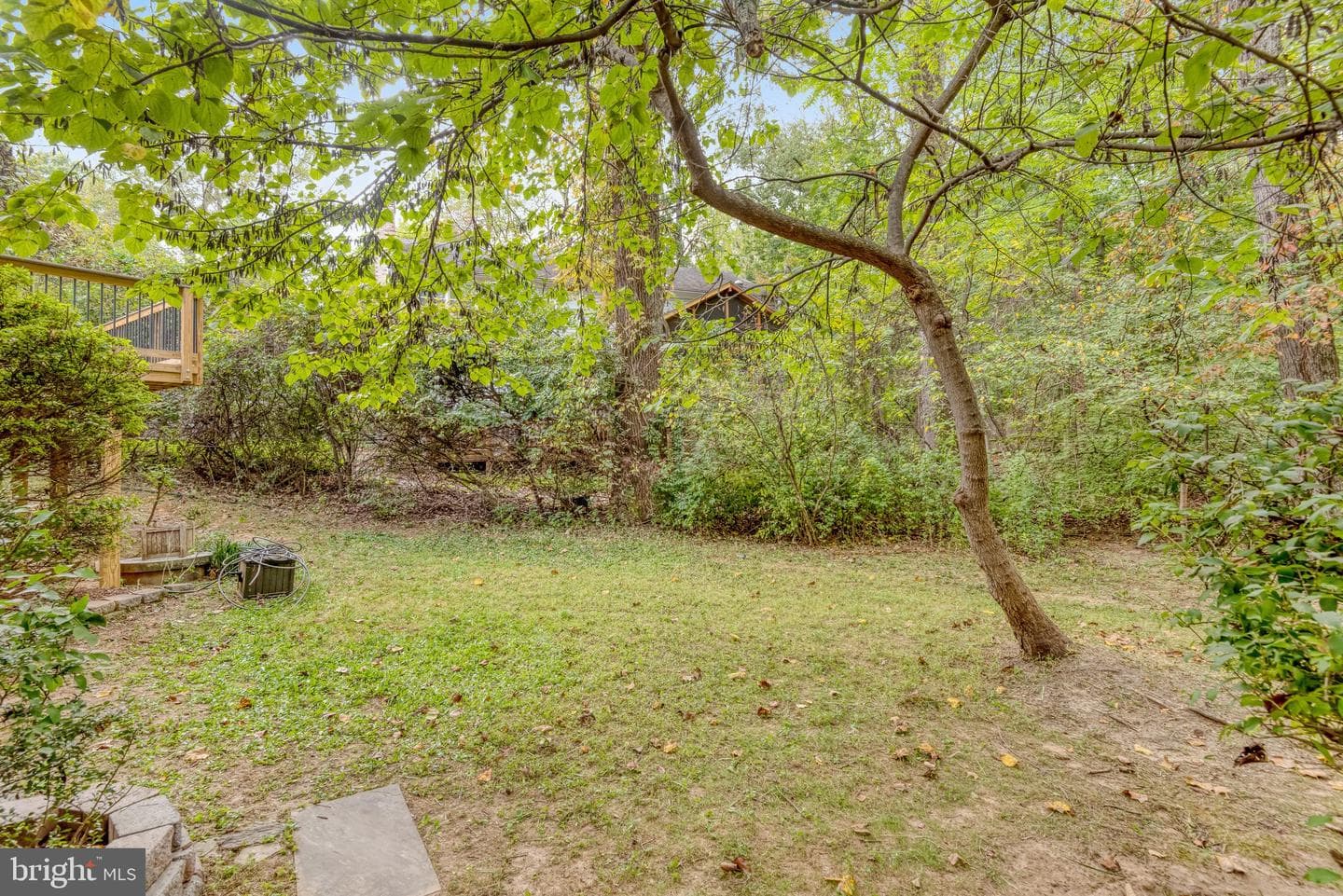 12210 Rowan Tree Drive photo 59