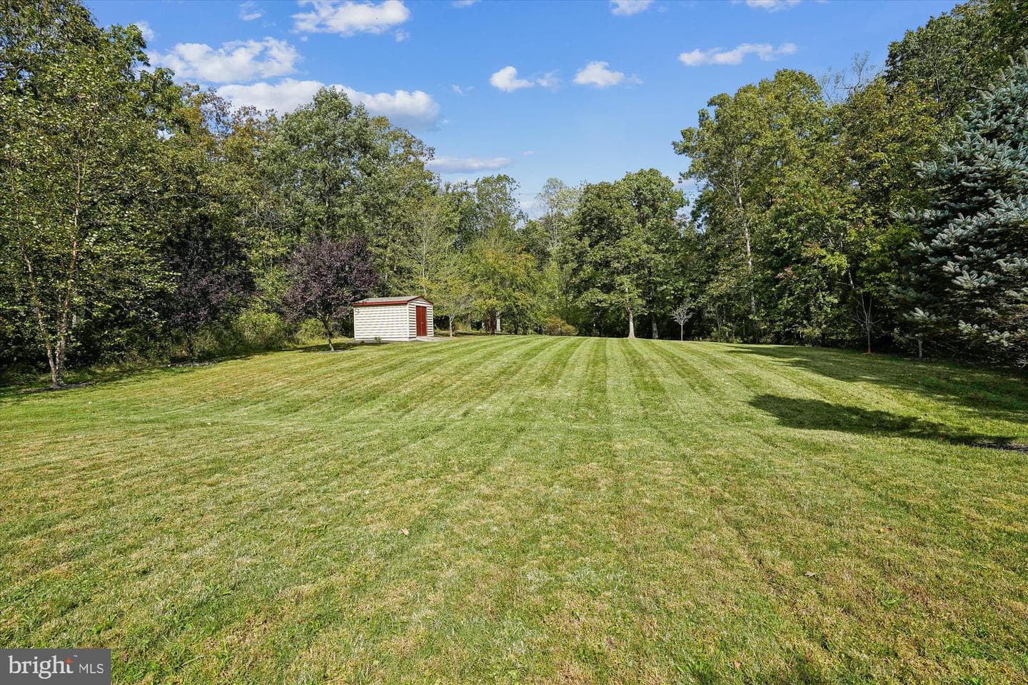 12328 Bunche Road photo 45