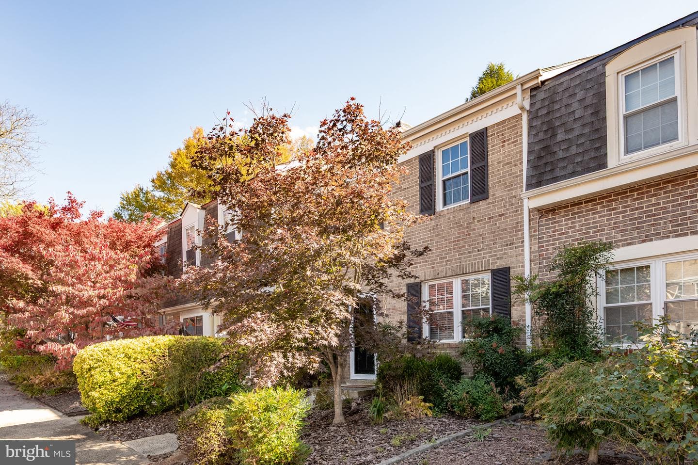 9909 Lakepointe Drive photo 3