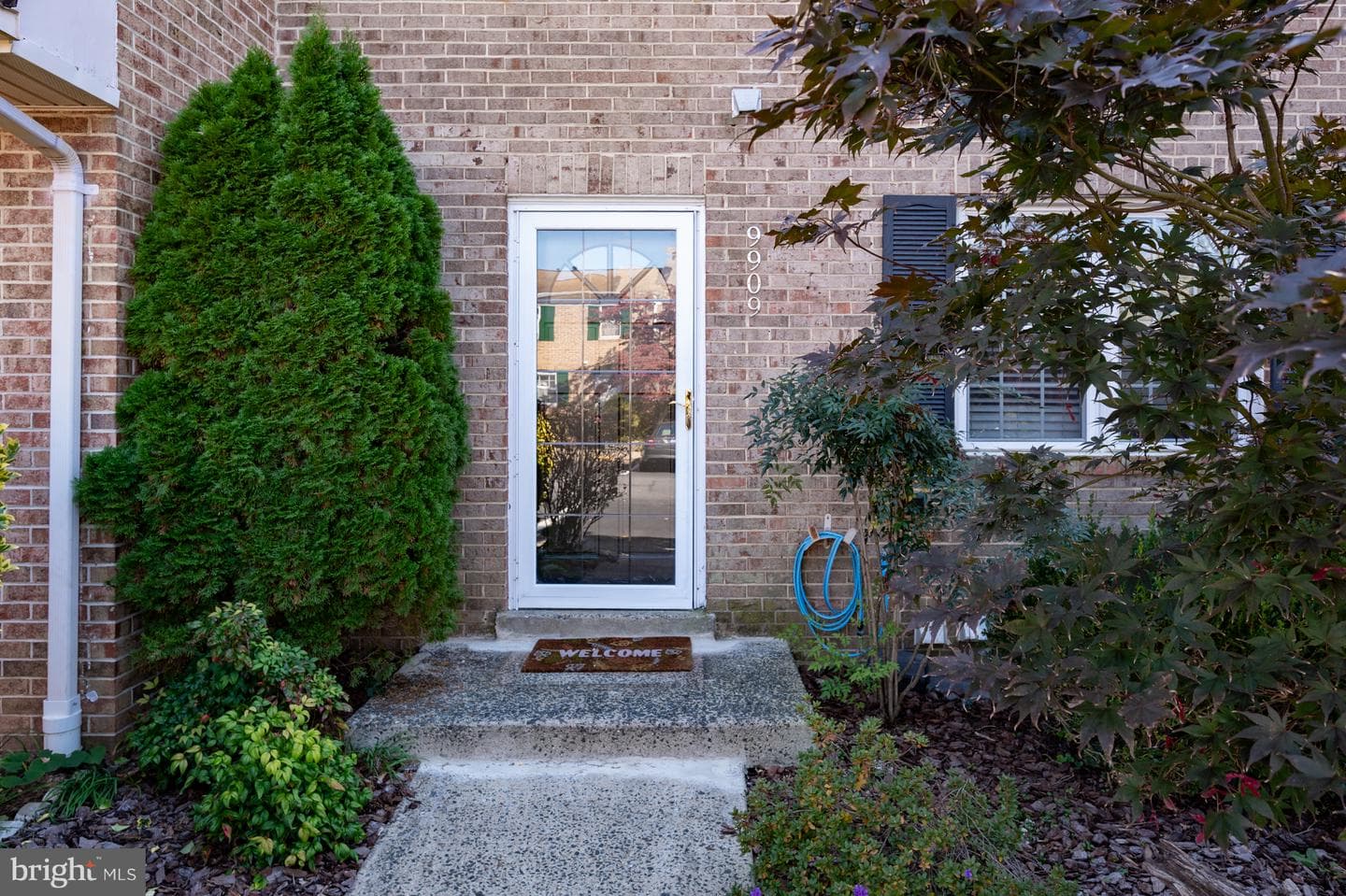 9909 Lakepointe Drive photo 5