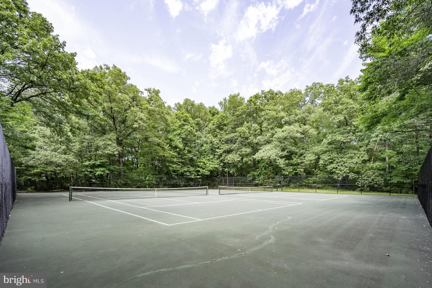9909 Lakepointe Drive photo 63