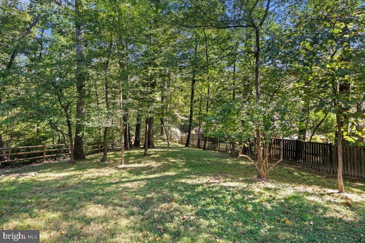9515 Stevebrook Road photo 24