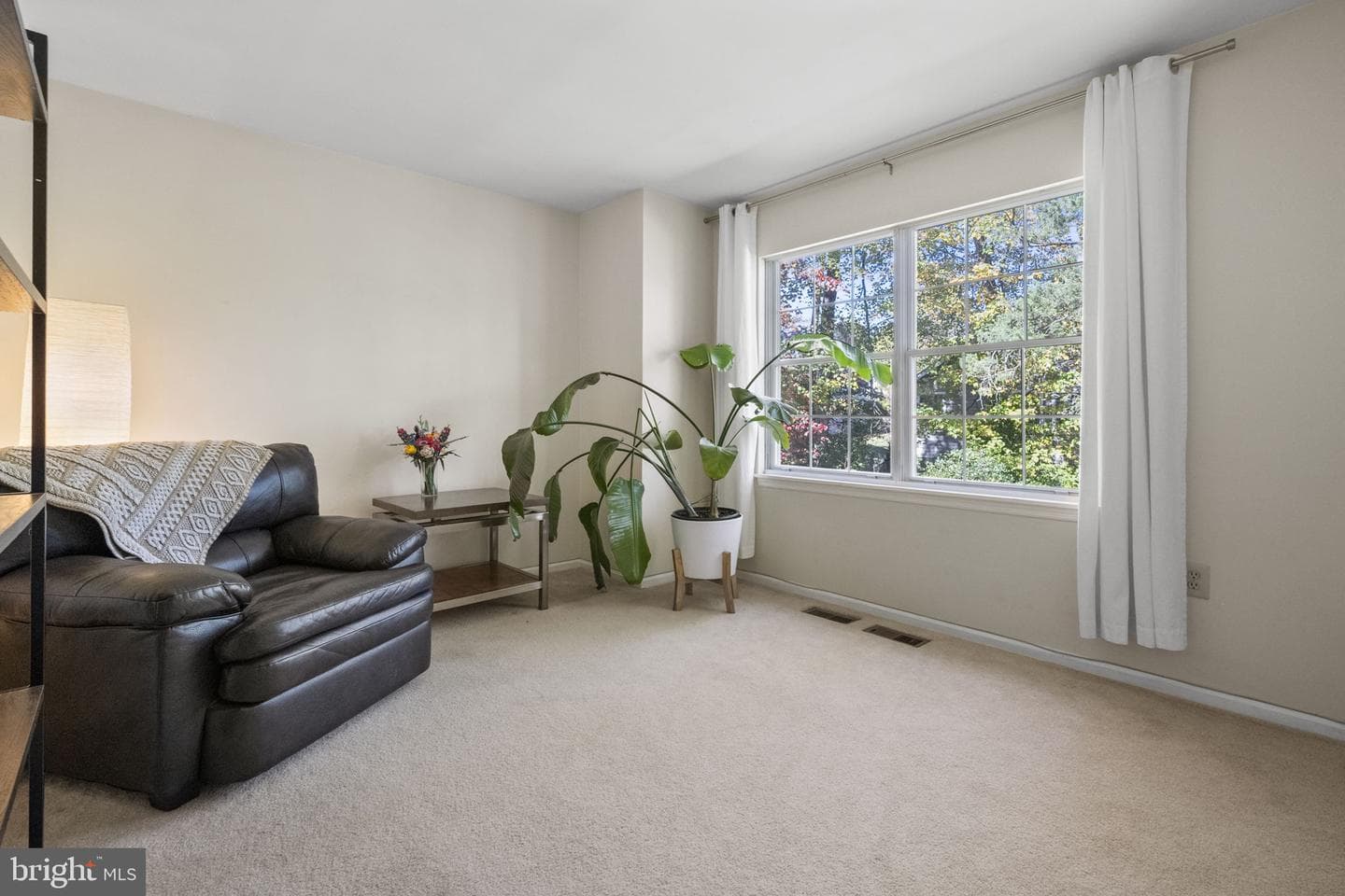 488 Montalto Drive photo 24