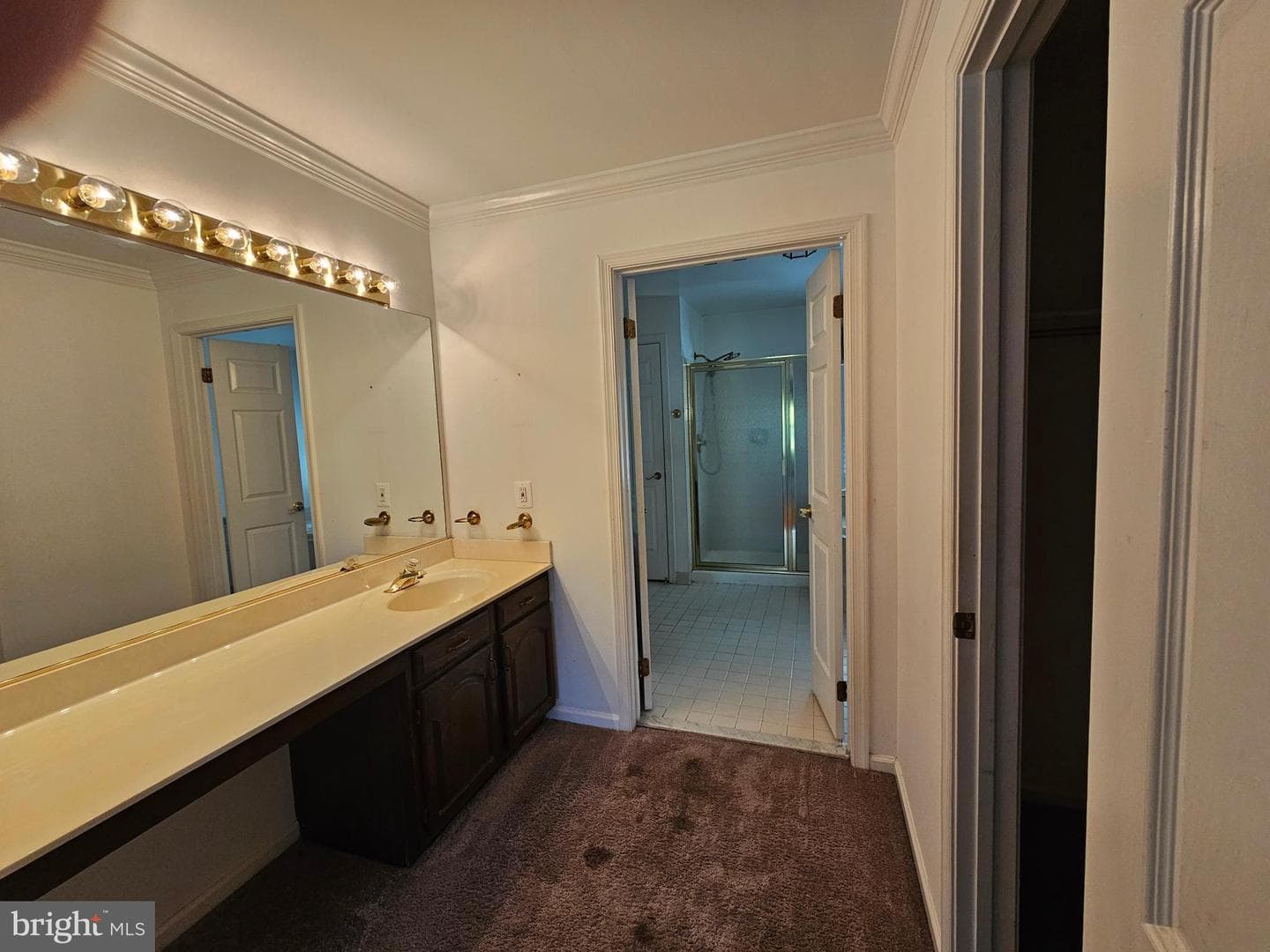 6605 English Saddle Court photo 10