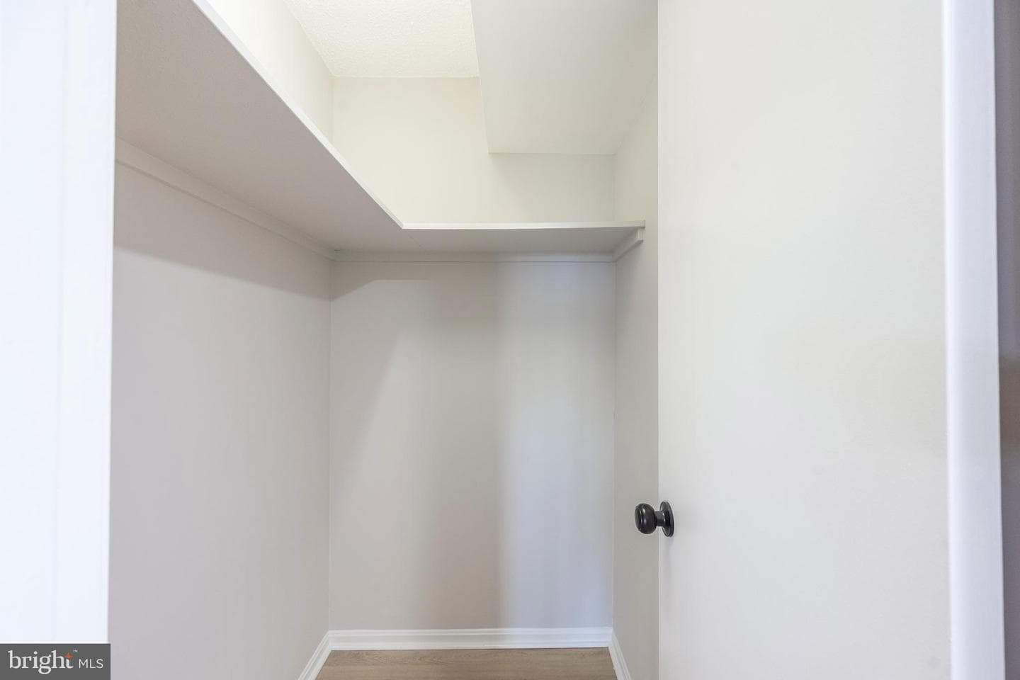 5903 Mount Eagle Drive #1206 photo 21