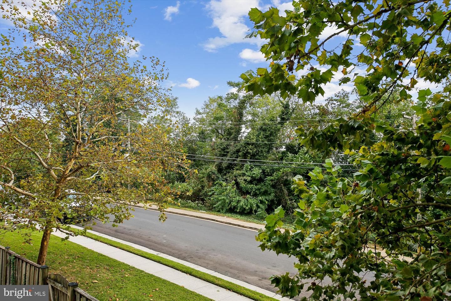 3335 Beechcliff Drive photo 78