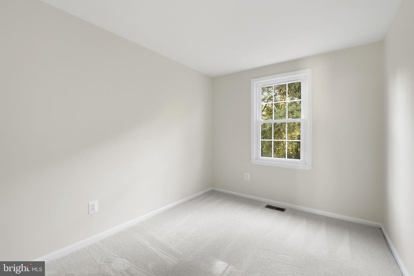 14329 Little Rocky Mountain Court photo 25