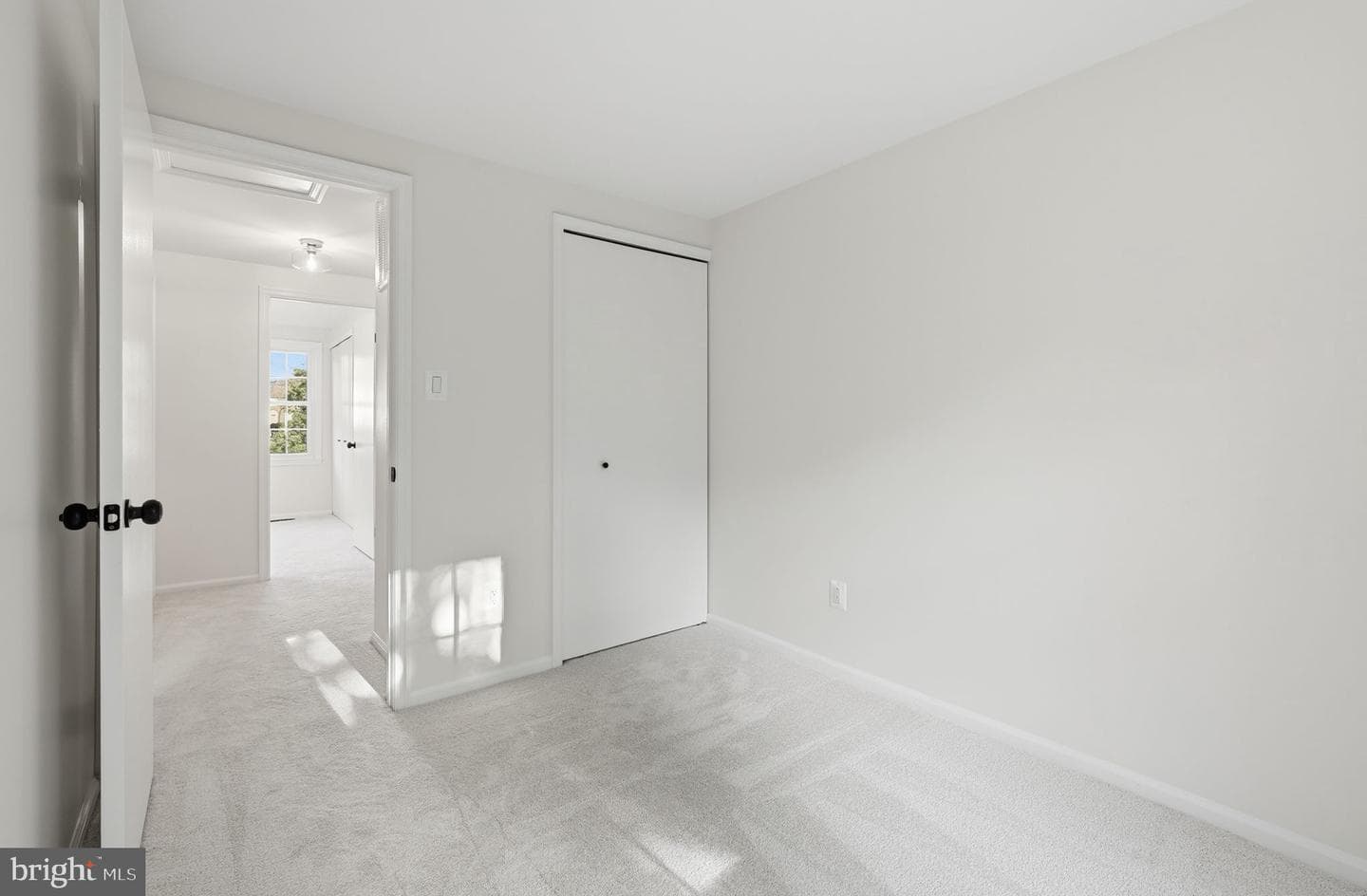 14329 Little Rocky Mountain Court photo 26