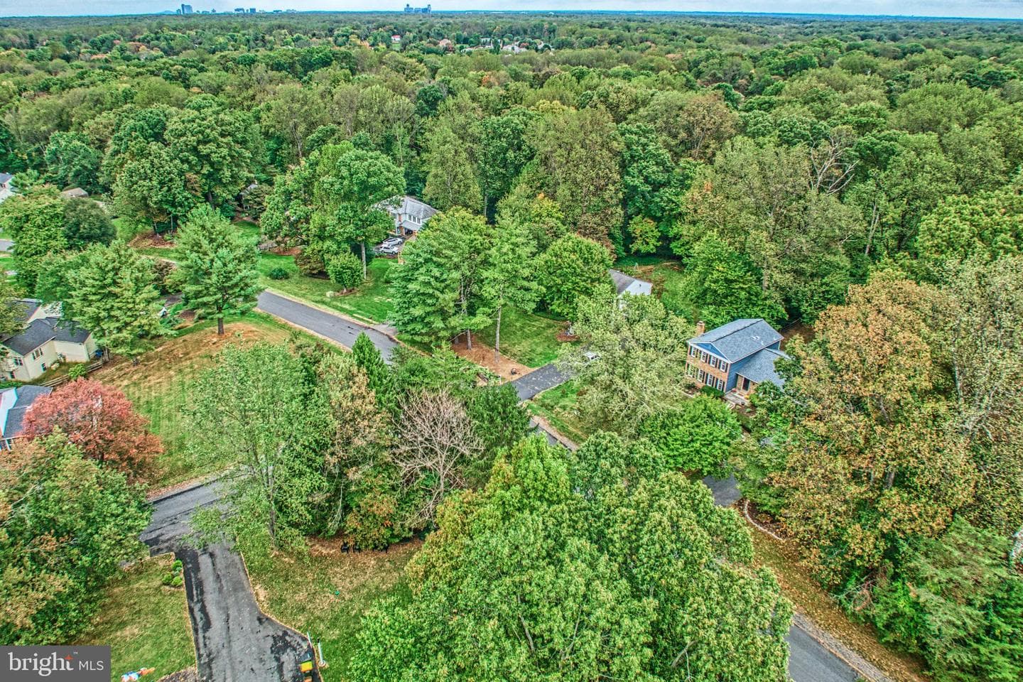 3119 Cobb Hill Lane photo 53