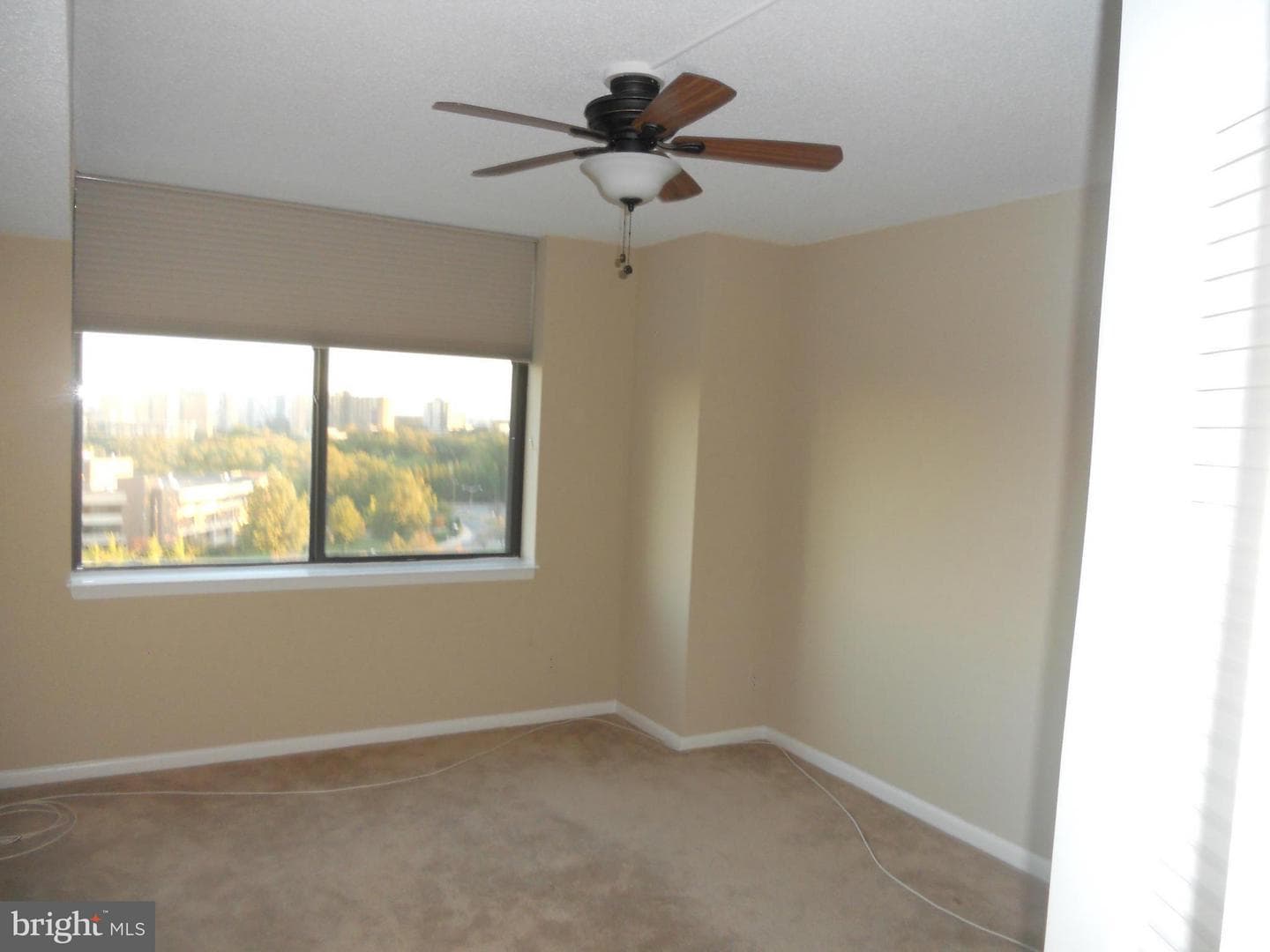 3709 George Mason Drive #1213 E photo 26