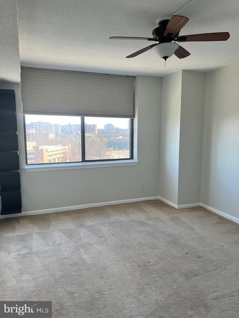 3709 George Mason Drive #1213 E photo 31