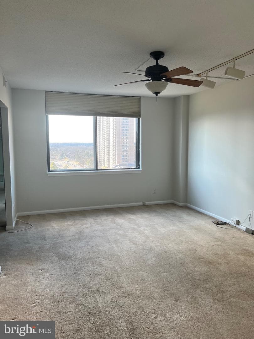 3709 George Mason Drive #1213 E photo 34