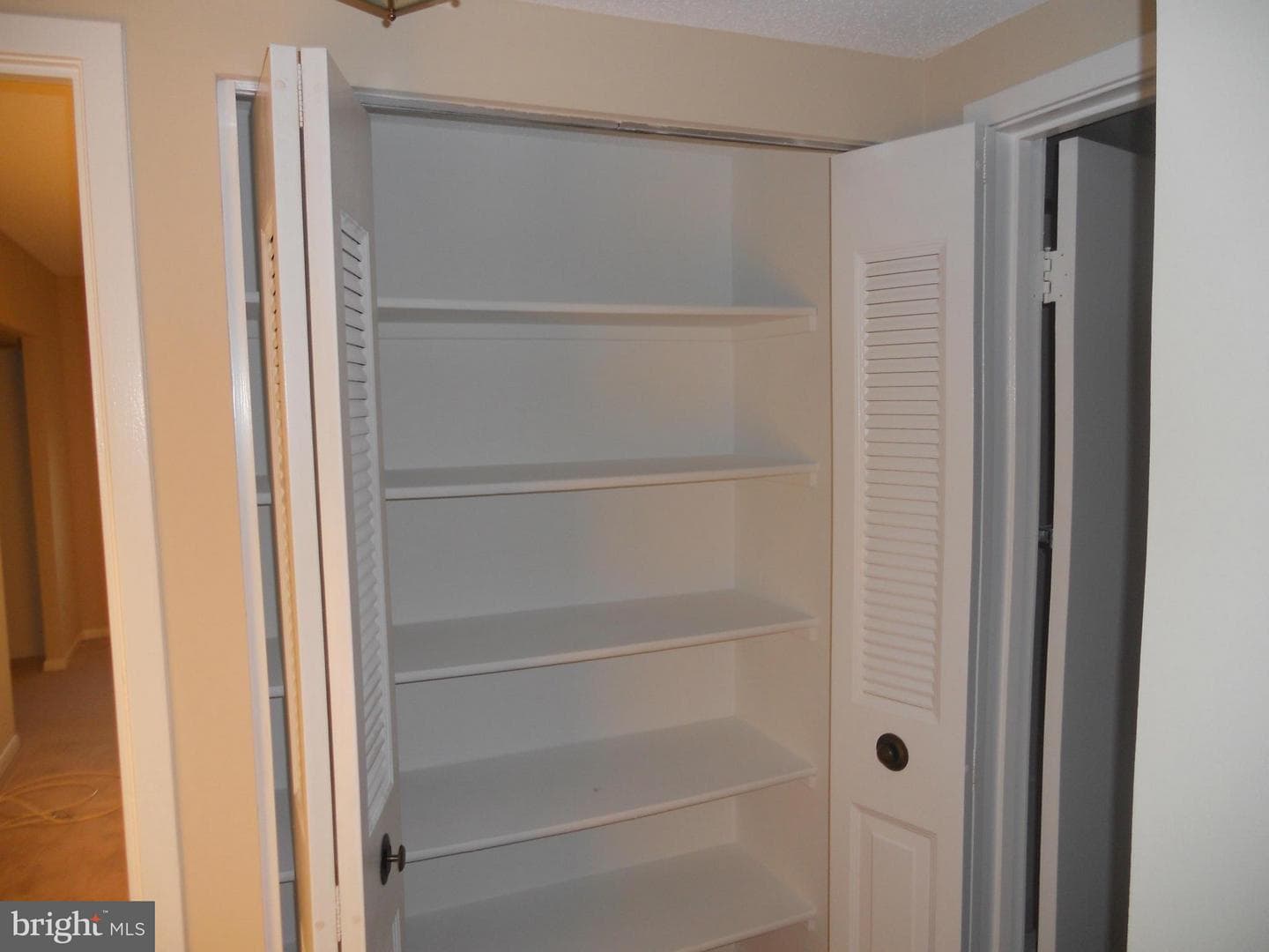 3709 George Mason Drive #1213 E photo 4