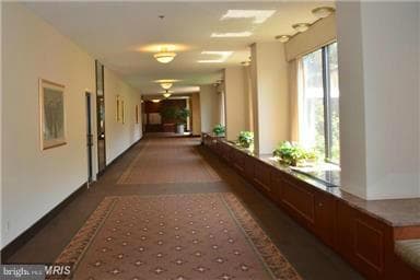 3709 George Mason Drive #1213 E photo 45
