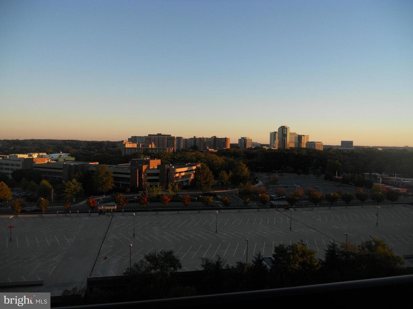 3709 George Mason Drive #1213 E photo 8