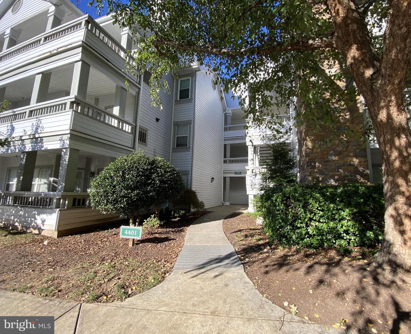 4401 Sedgehurst Drive #203 photo 2