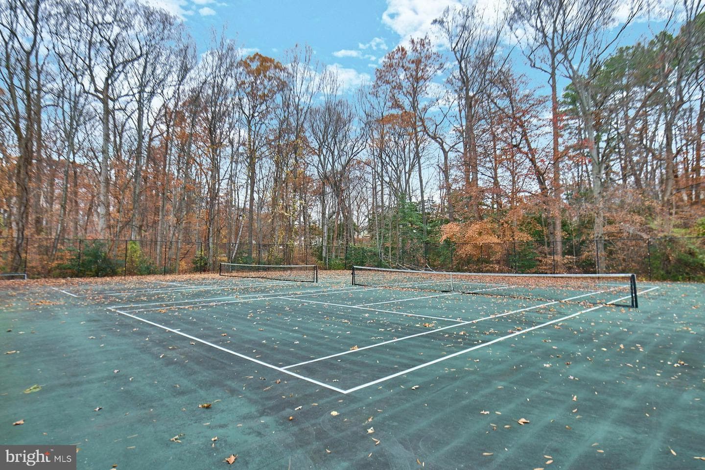 8566 Gwynedd Way photo 55